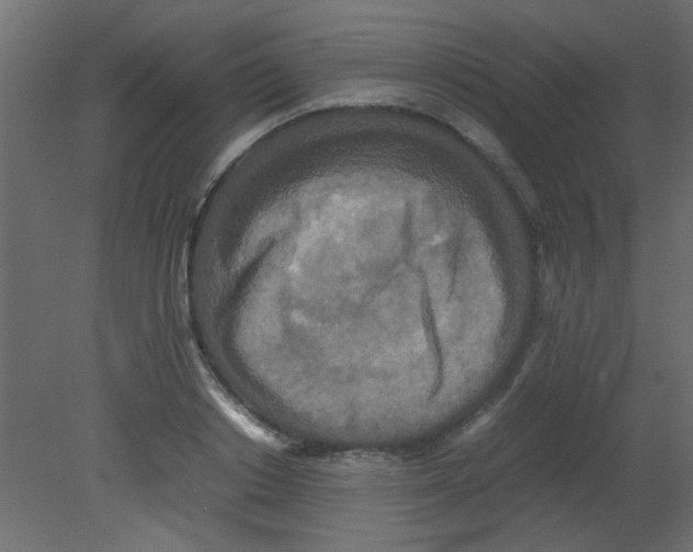 X0000080730842200701121908