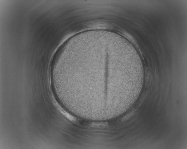 X0000080730843200701121908