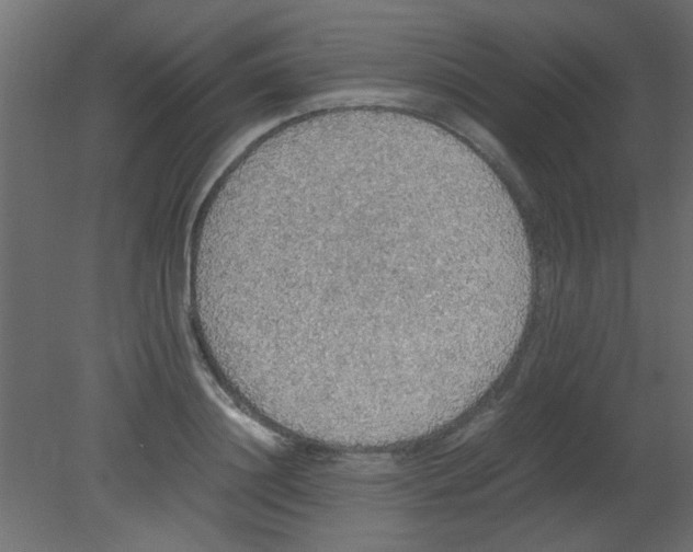 X0000080730844200701121908