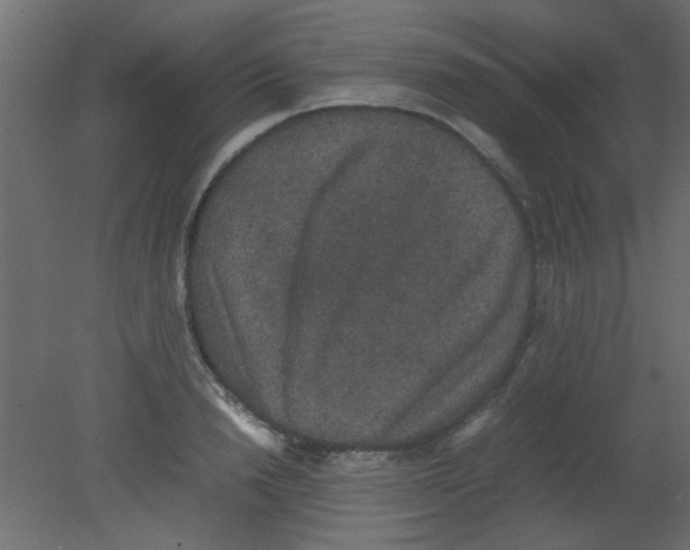 X0000080730846200701121908