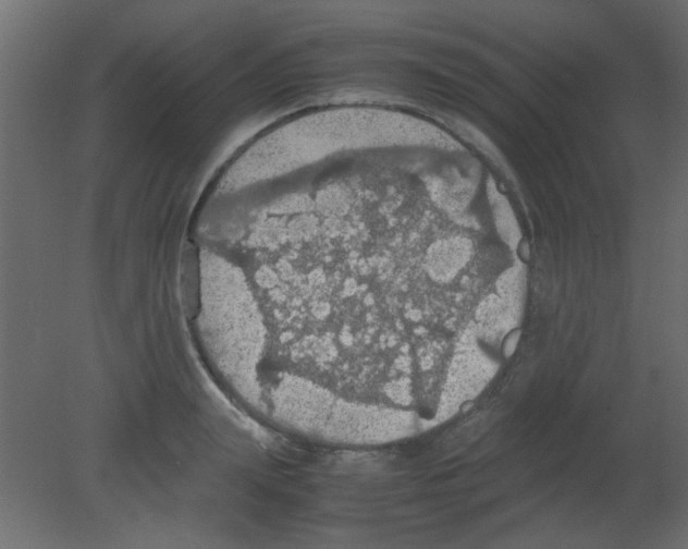 X0000080730847200701121908