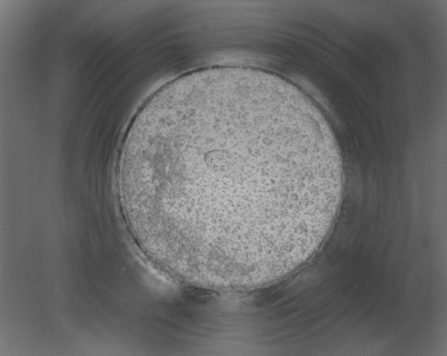 X0000080730848200701121908