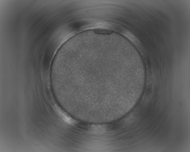 X0000080730850200701121908