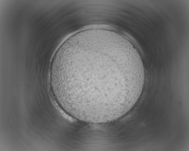 X0000080730852200701121908