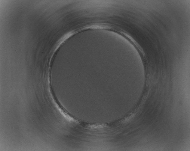 X0000080730853200701121908