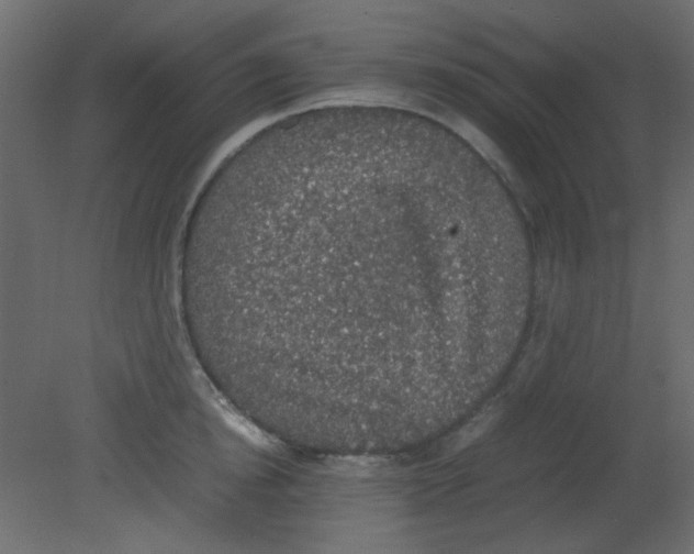 X0000080730854200701121908