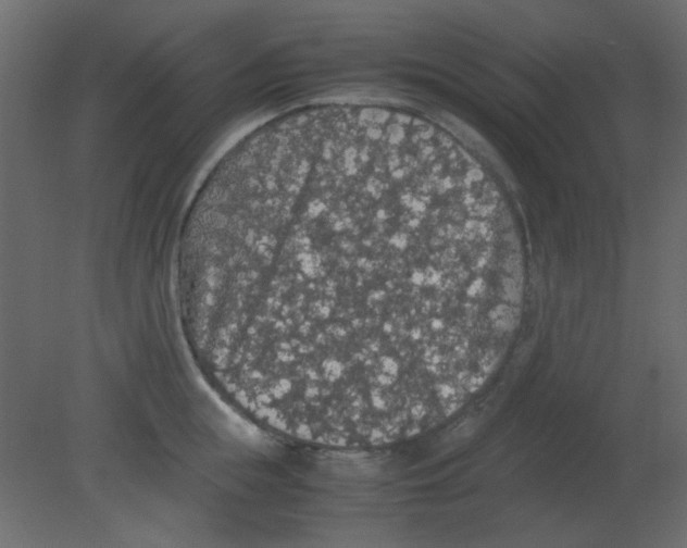 X0000080730855200701121908