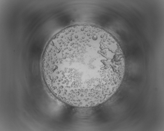 X0000080730856200701121908