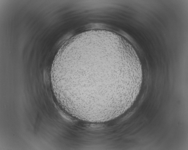 X0000080730857200701121909