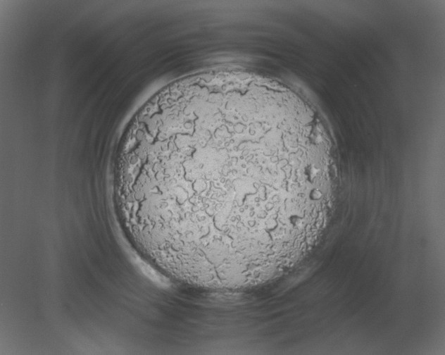 X0000080730859200701121909