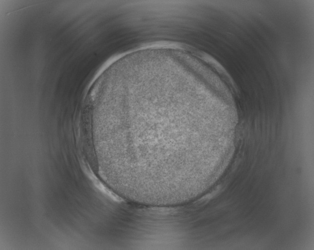 X0000080730860200701121909