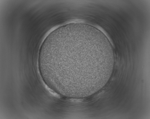 X0000080730861200701121909