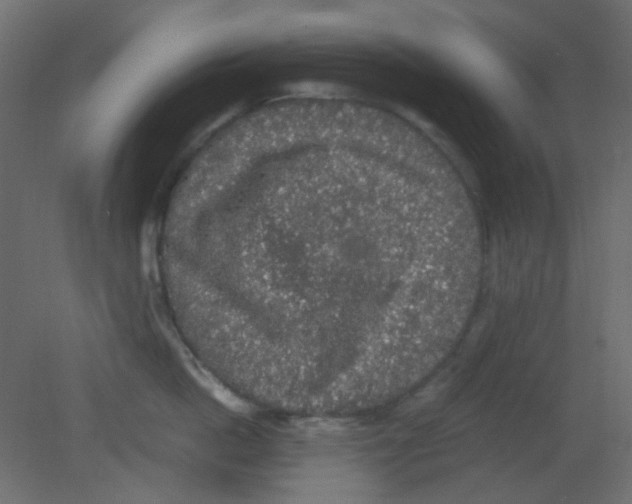 X0000080730862200701121909