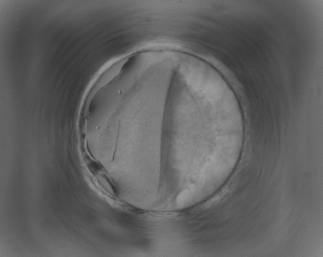 X0000080730864200701121909