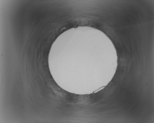 X0000080730865200701121908