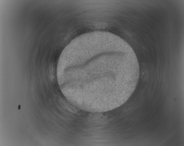 X0000080730866200701121908