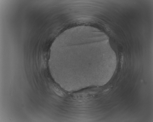 X0000080730868200701121908