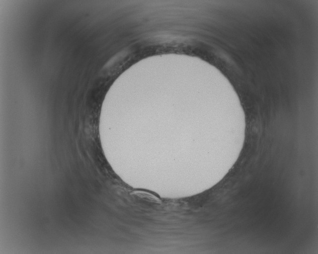 X0000080730869200701121908