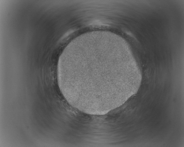 X0000080730870200701121908