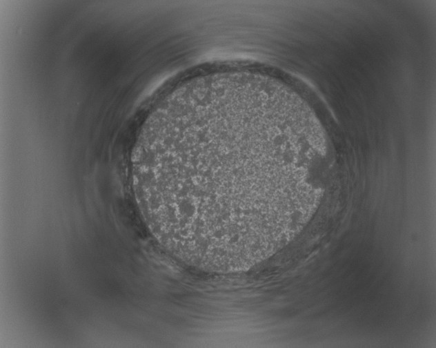 X0000080730871200701121908