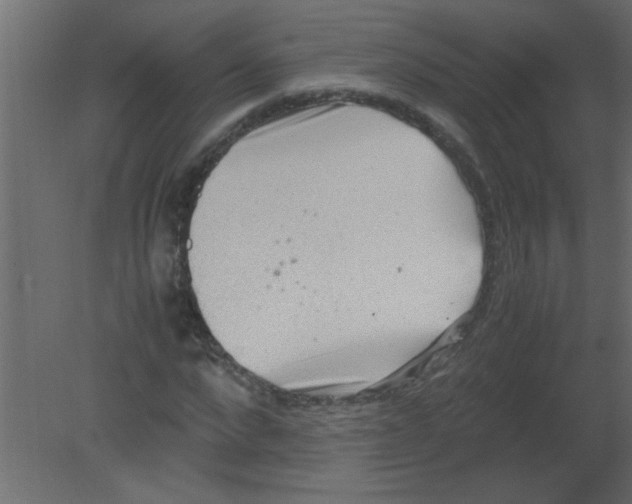 X0000080730872200701121908