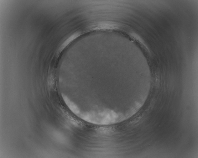 X0000080730874200701121908