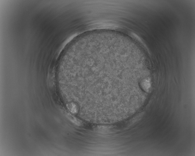 X0000080730875200701121908