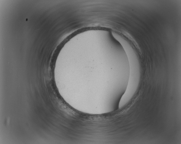 X0000080730876200701121908