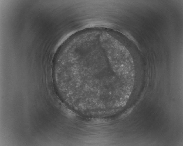 X0000080730877200701121908