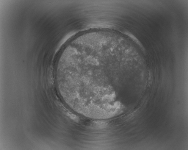 X0000080730878200701121908