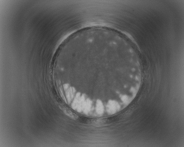 X0000080730879200701121908