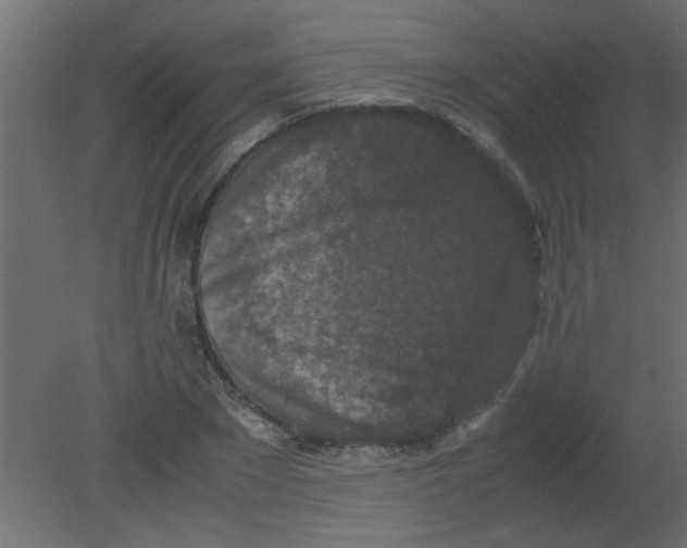 X0000080730881200701121908