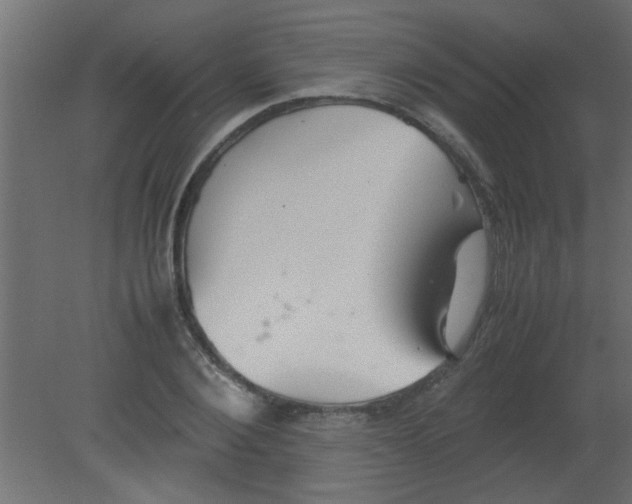 X0000080730884200701121907