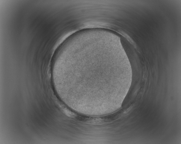 X0000080730885200701121907