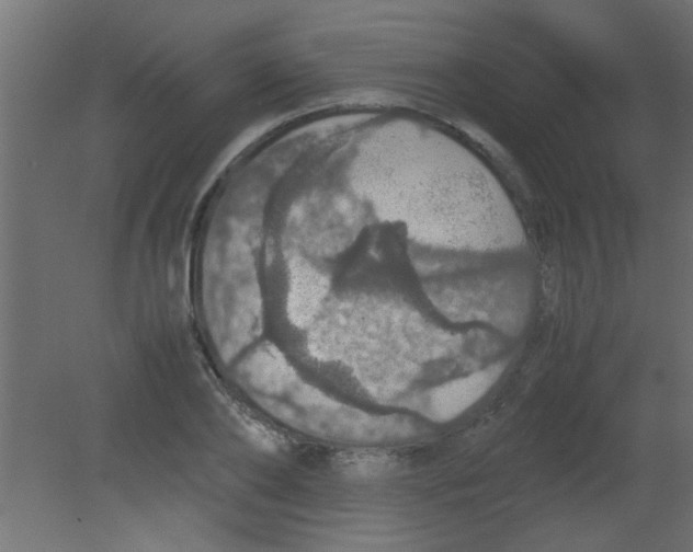 X0000080730886200701121907