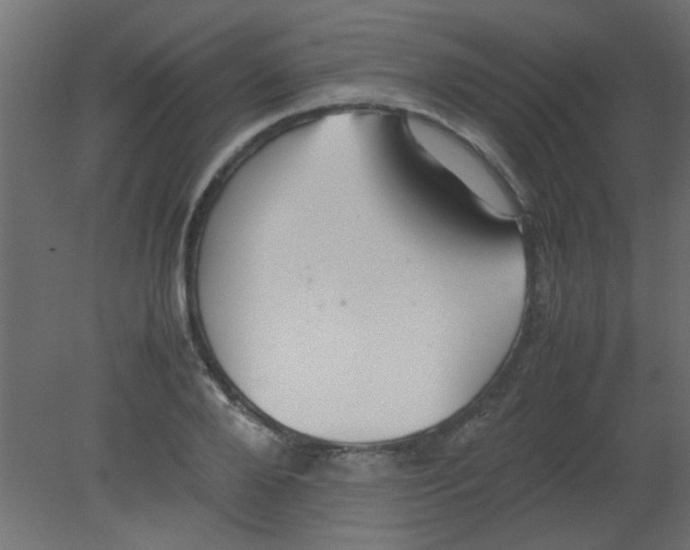 X0000080730888200701121907