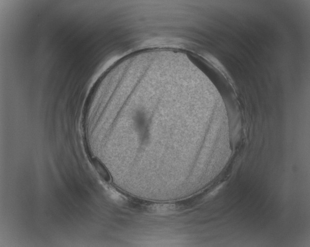 X0000080730893200701121907