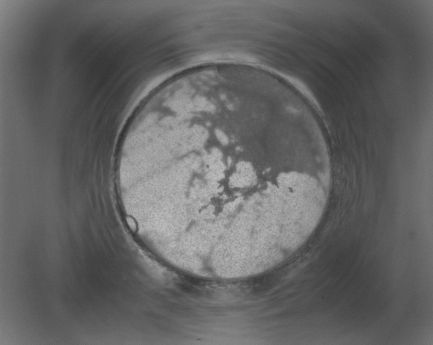 X0000080730895200701121907