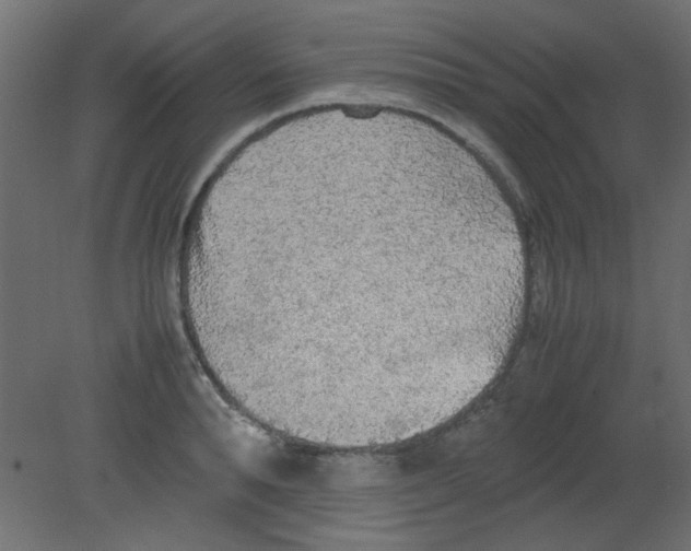 X0000080730896200701121907