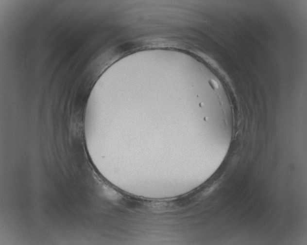 X0000080730897200701121907