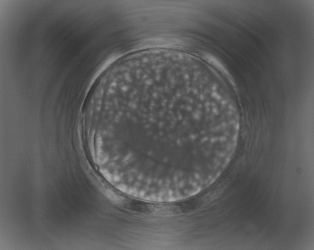 X0000080730899200701121907