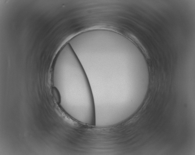 X0000080730900200701121907