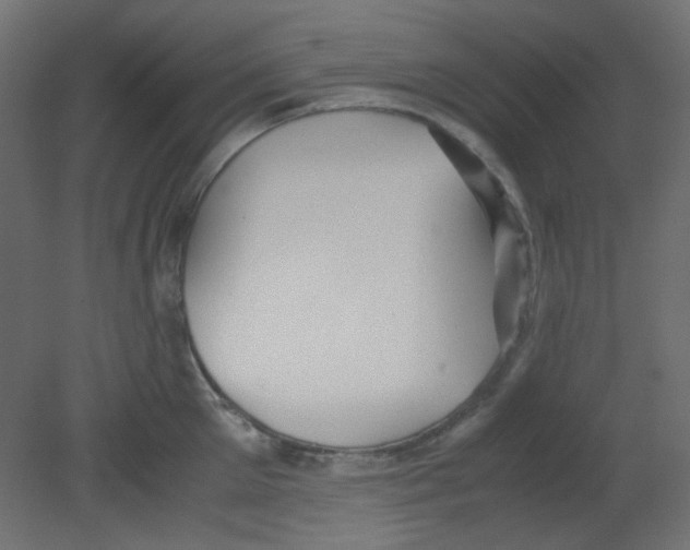 X0000080730905200701121907