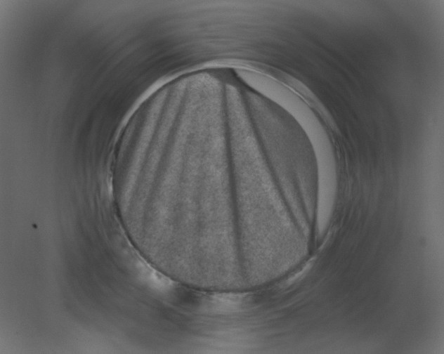 X0000080730908200701121907