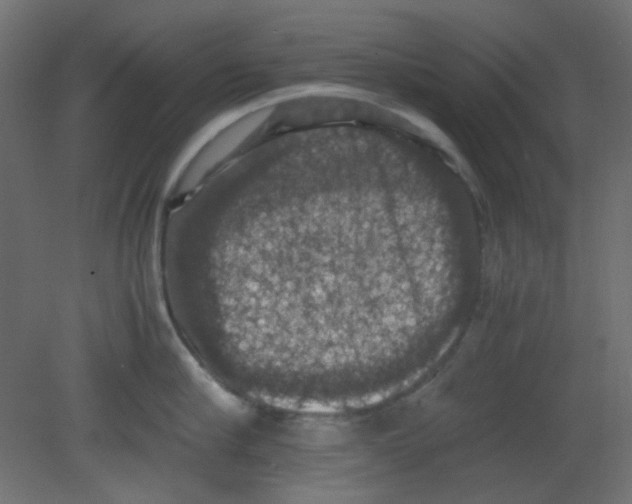 X0000080730910200701121907