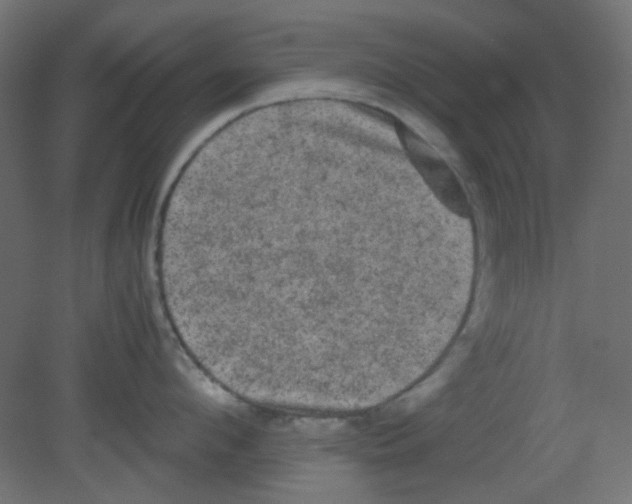 X0000080730912200701121907