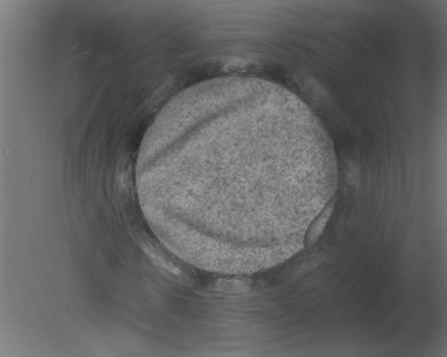 X0000080730914200701121906