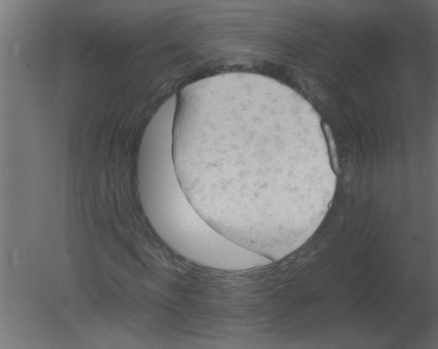 X0000080730916200701121906