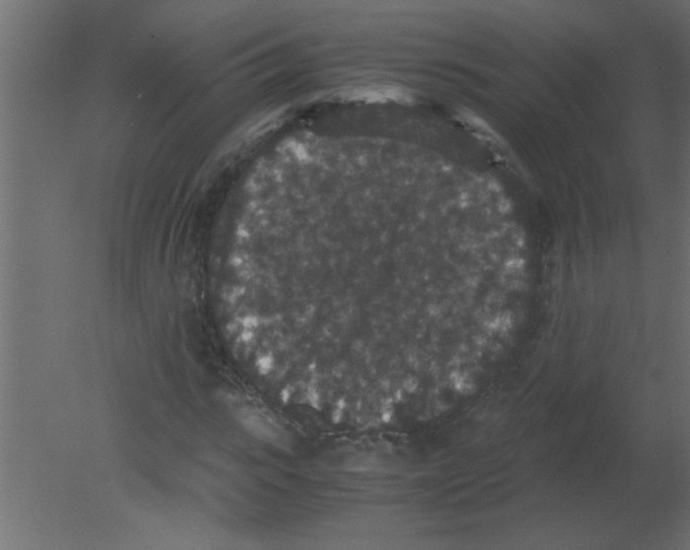 X0000080730919200701121906