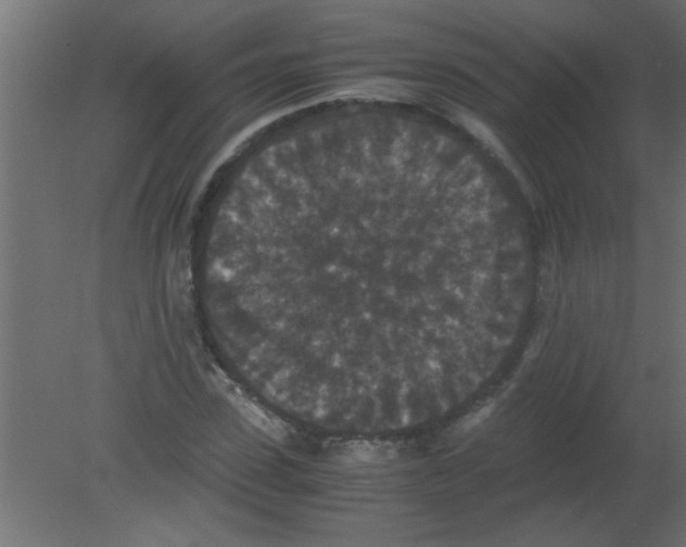 X0000080730923200701121906